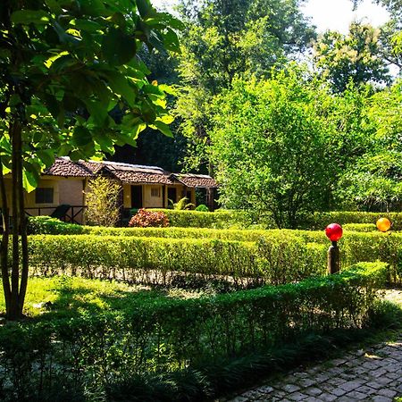 Hotel Wild Planet Eco Retreat à Bardiya Extérieur photo