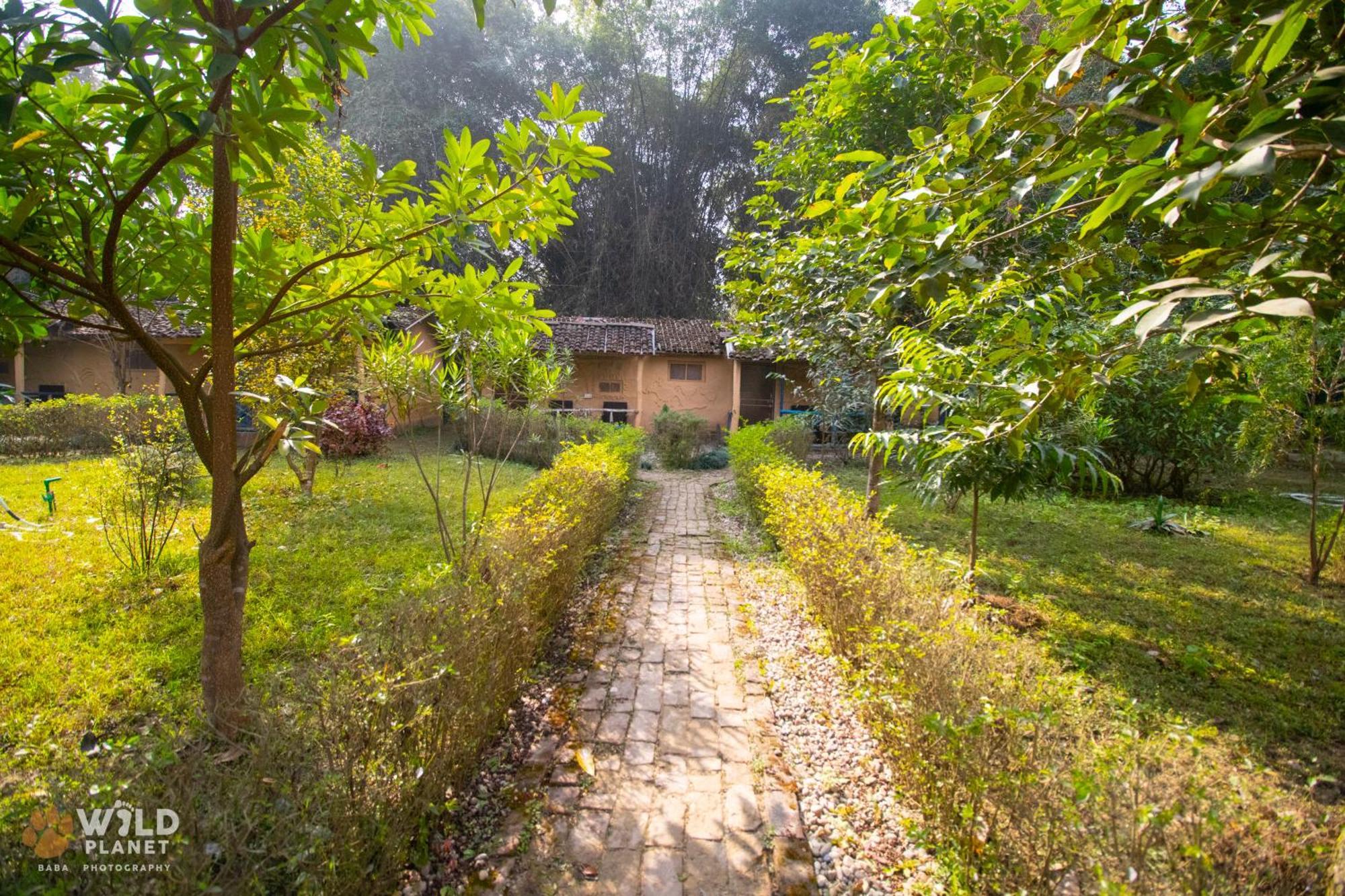 Hotel Wild Planet Eco Retreat à Bardiya Extérieur photo