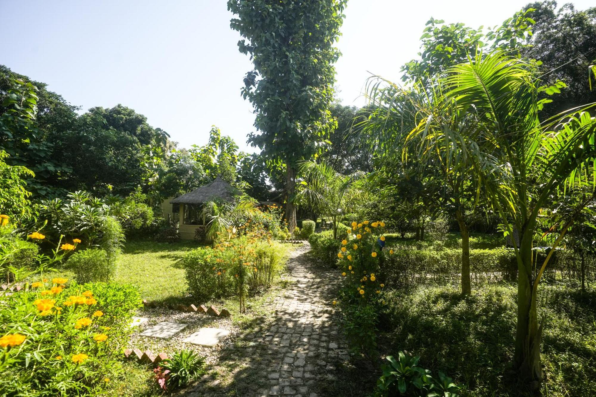 Hotel Wild Planet Eco Retreat à Bardiya Extérieur photo