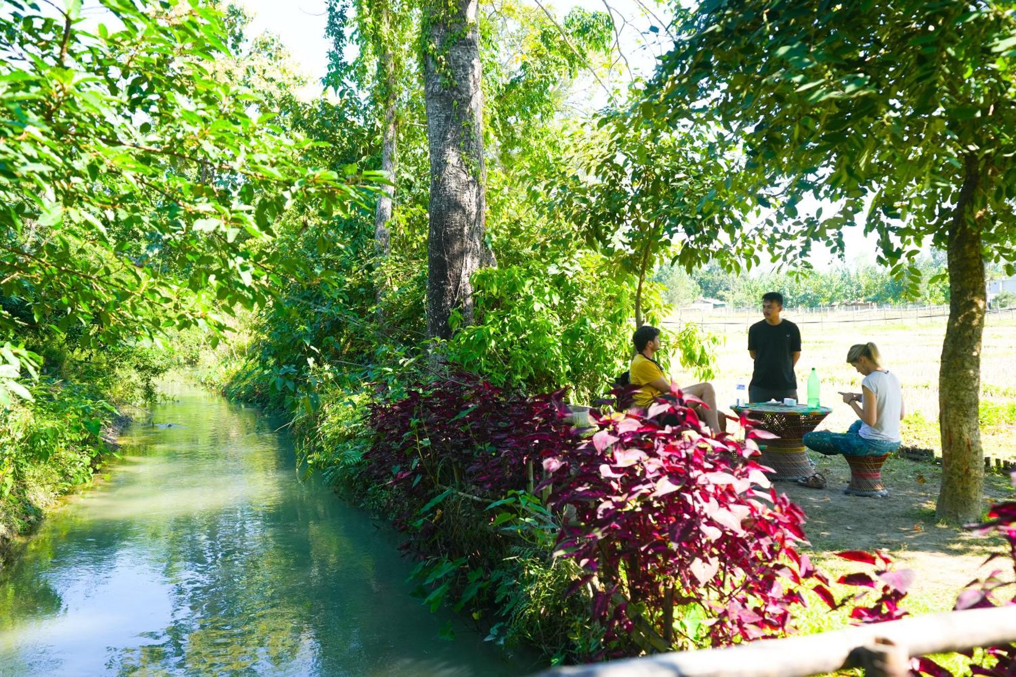 Hotel Wild Planet Eco Retreat à Bardiya Extérieur photo
