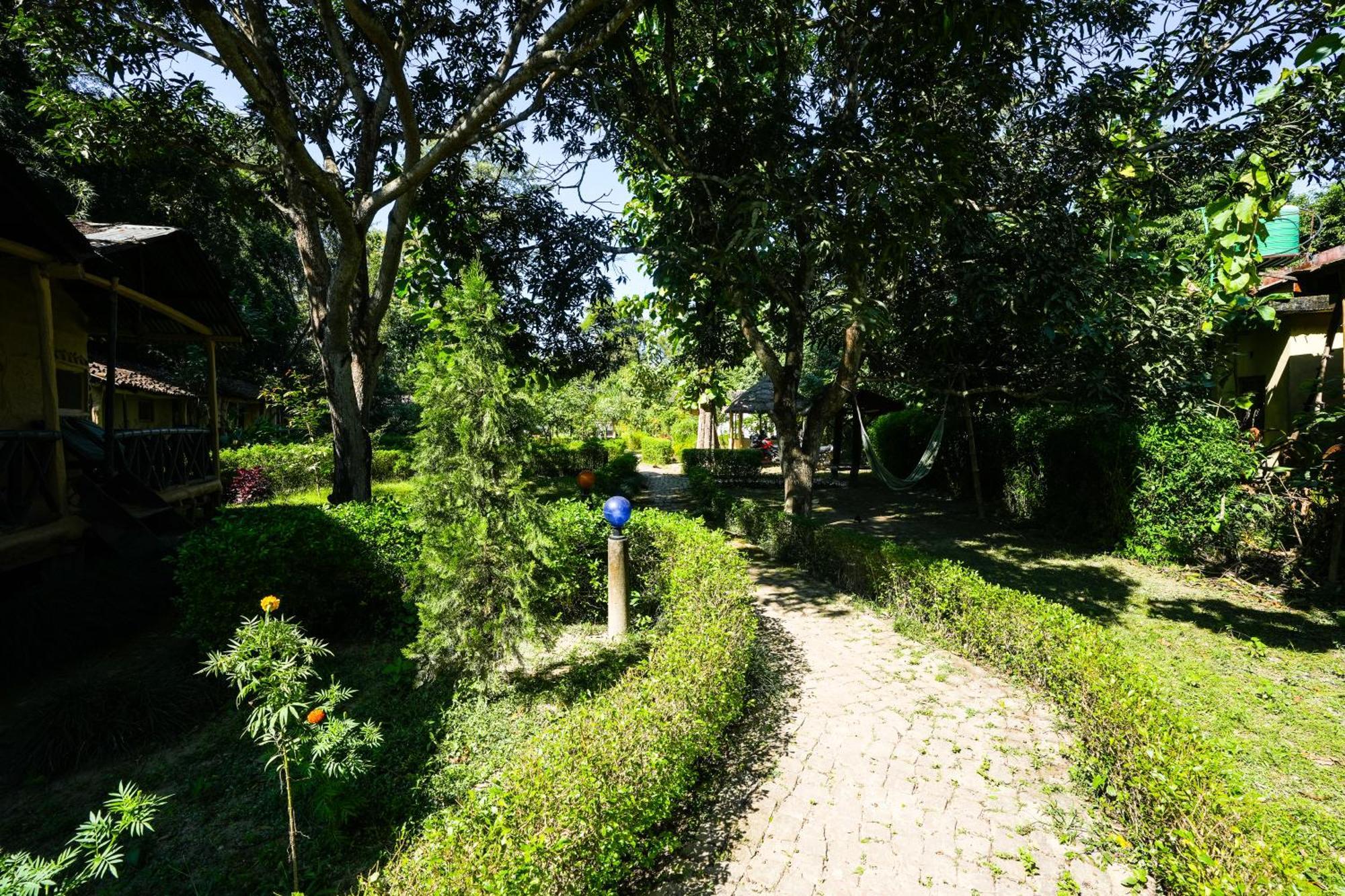 Hotel Wild Planet Eco Retreat à Bardiya Extérieur photo