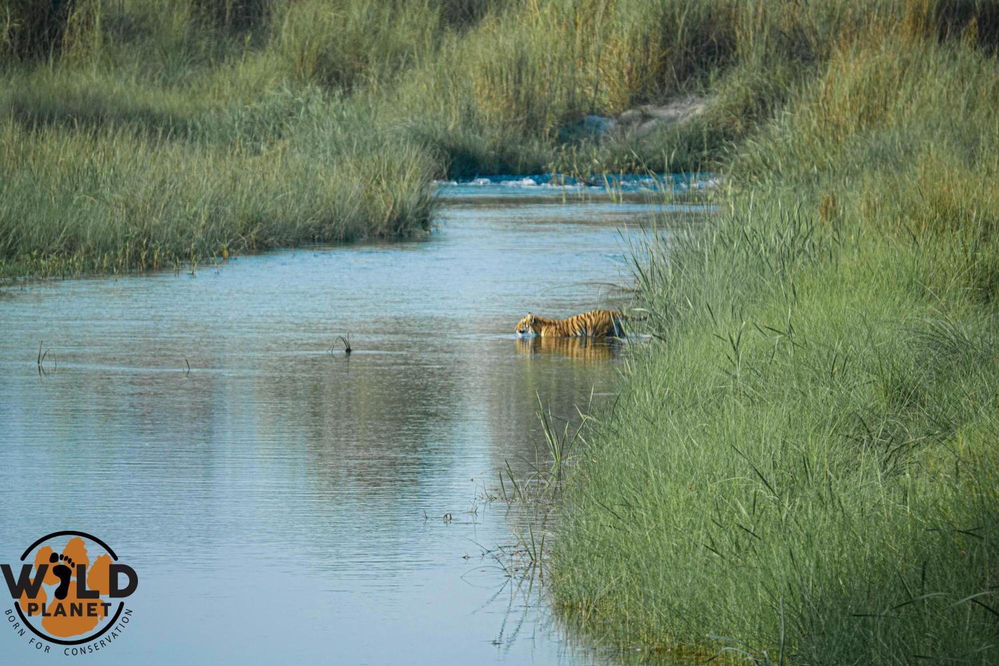 Hotel Wild Planet Eco Retreat à Bardiya Extérieur photo