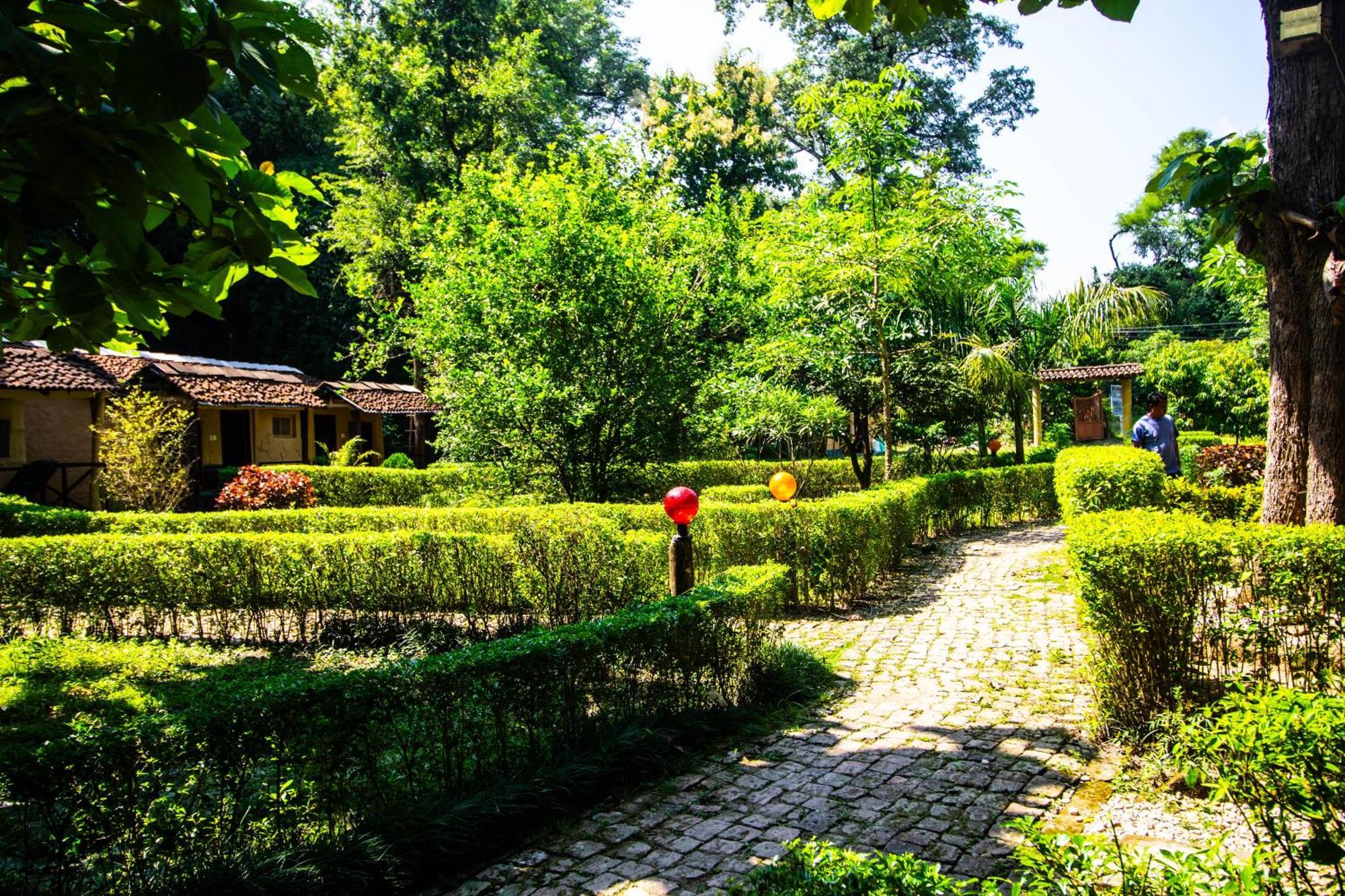 Hotel Wild Planet Eco Retreat à Bardiya Extérieur photo